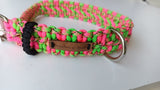 Taffy Paracord Dog Collar