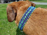 Bluezen Paracord Dog Collar