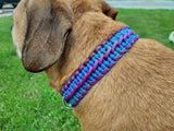 Purpleworks Paracord Dog Collar