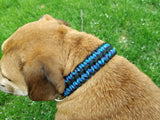 Delight Blend Paracord Dog Collar