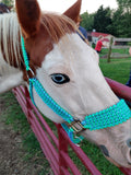 Minty Paracord Horse Halter