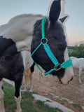 Minty Paracord Horse Halter