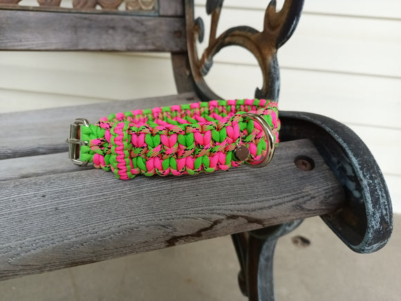 Taffy Paracord Dog Collar