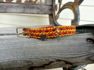 Fall Fest Munchkin Collar