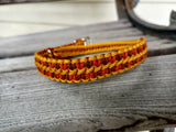 Fall Fest Munchkin Collar