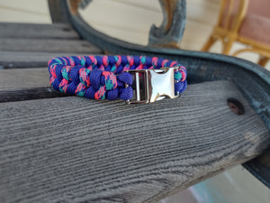 Metal Clasp Munchkin Collar